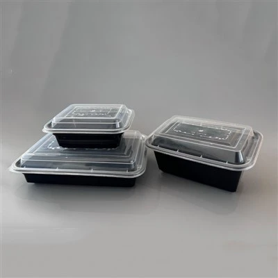 Lunch Box Mold